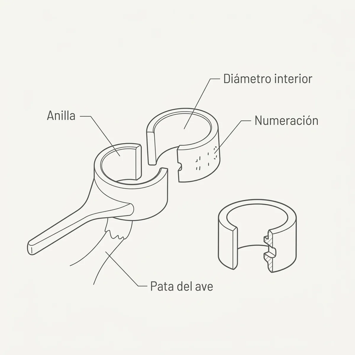 10 Anillas 3,00 mm Partidas con Calzador Amarillo — piezas y montaje