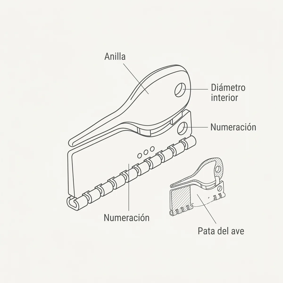 10 Anillas 3,00 mm Partidas con Calzador Naranja — piezas y montaje