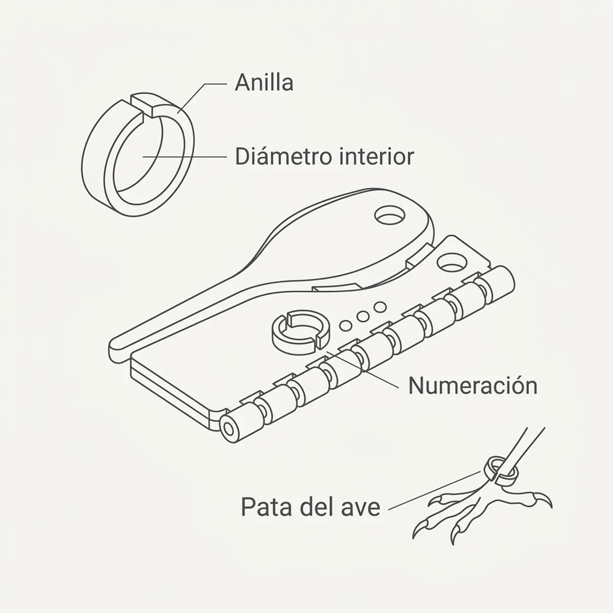 10 Anillas 3,00 mm Partidas con Calzador Verde Oscuro — piezas y montaje