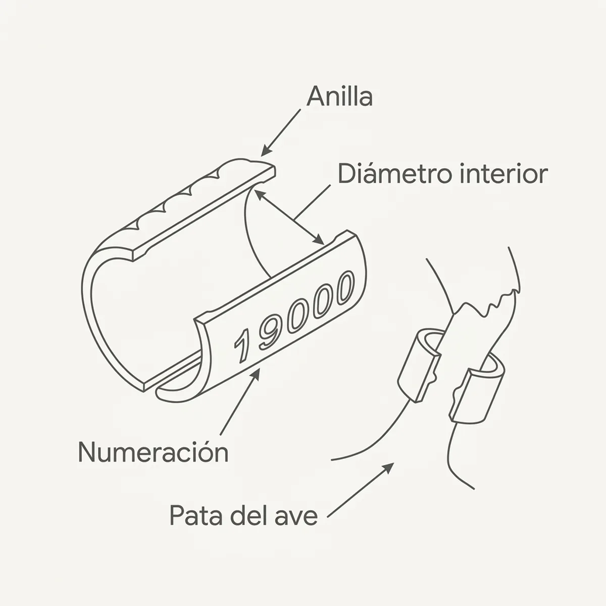 20 Anillas de aluminio abierta 4 mm Sisal Fibre — piezas y montaje
