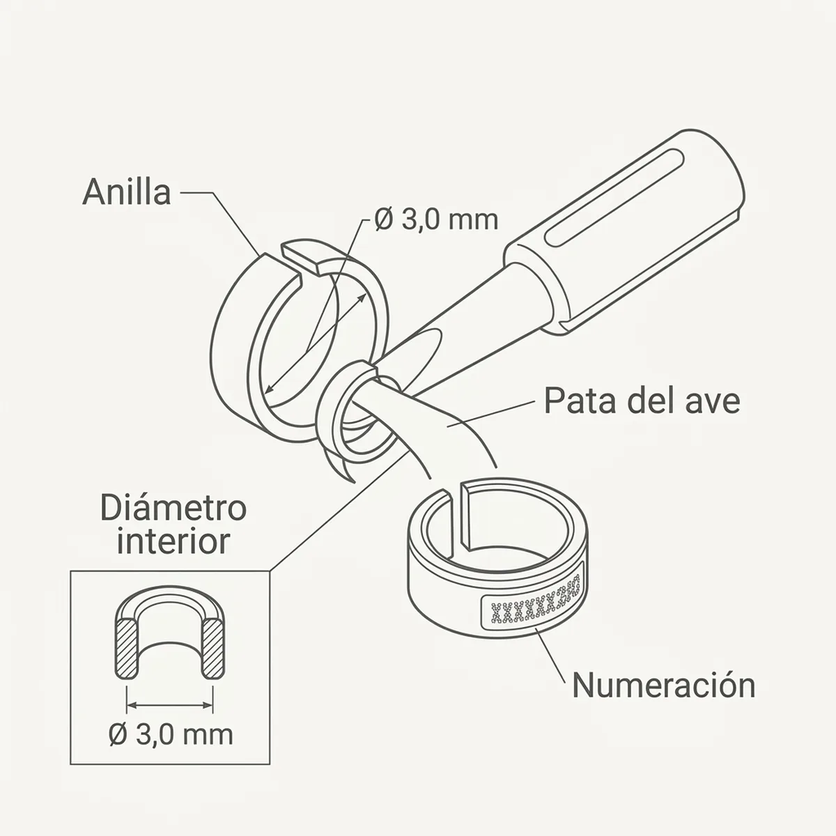 12 Anillas + calzado Ø3,0mm (Amarillo) — piezas y montaje