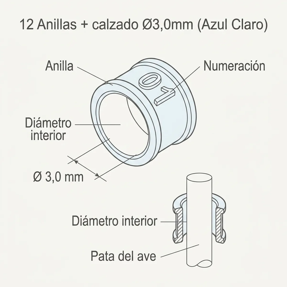 12 Anillas + calzado Ø3,0mm (Azul Claro) — piezas y montaje