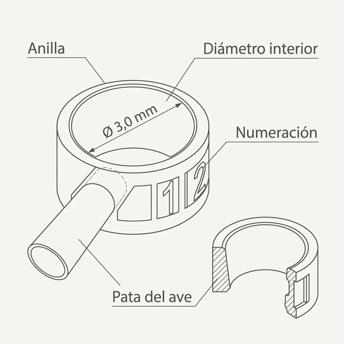 12 Anillas + calzado Ø3,0mm (Blanco) — piezas y montaje