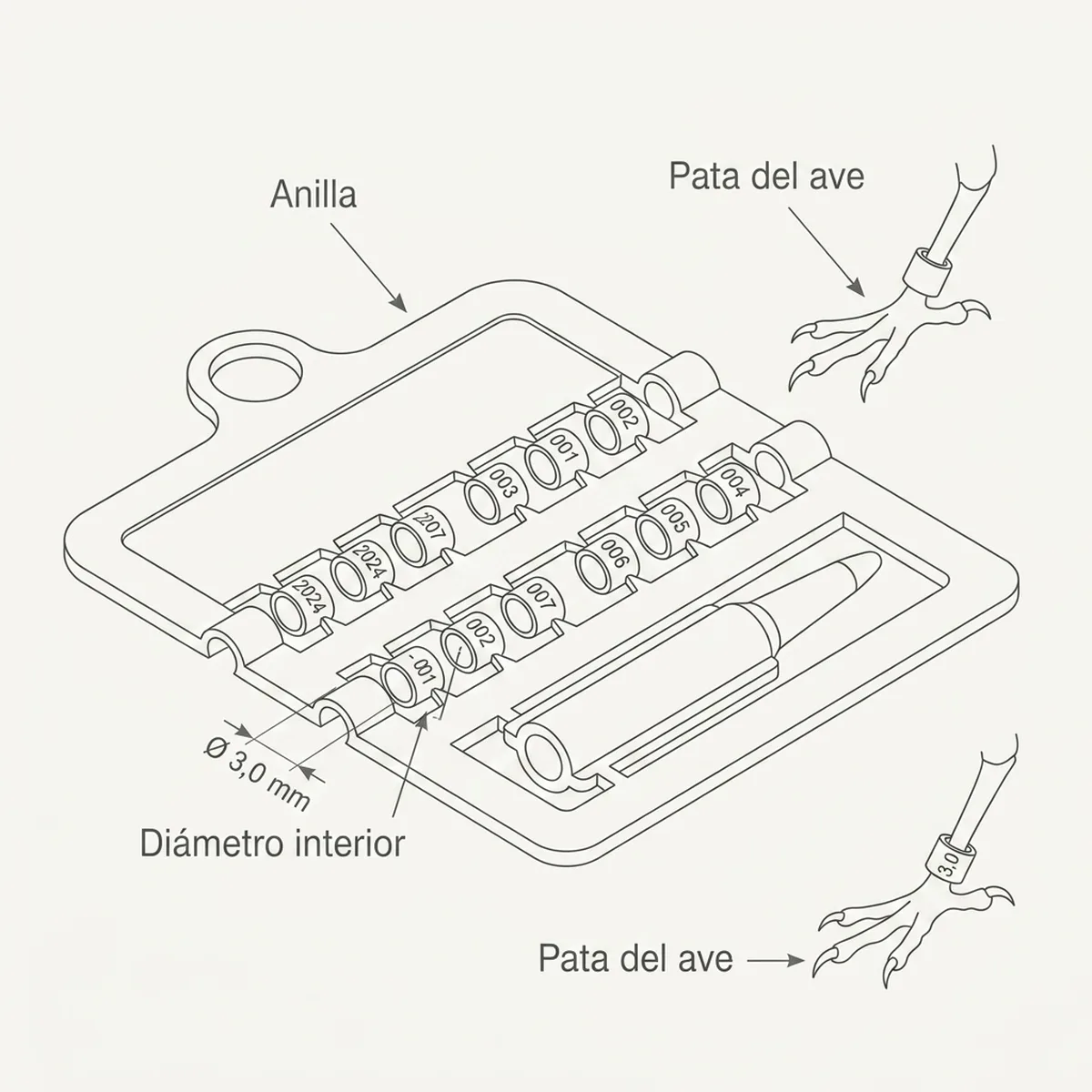 12 Anillas + calzado Ø3,0mm (Dorado) — piezas y montaje