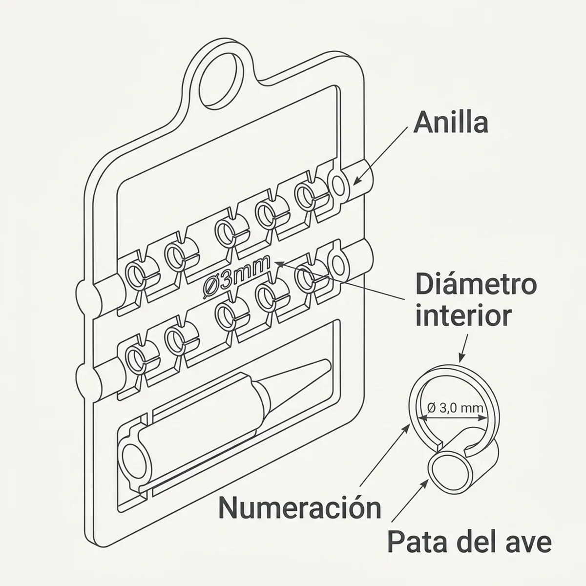 12 Anillas + calzado Ø3,0mm (Morado) — piezas y montaje