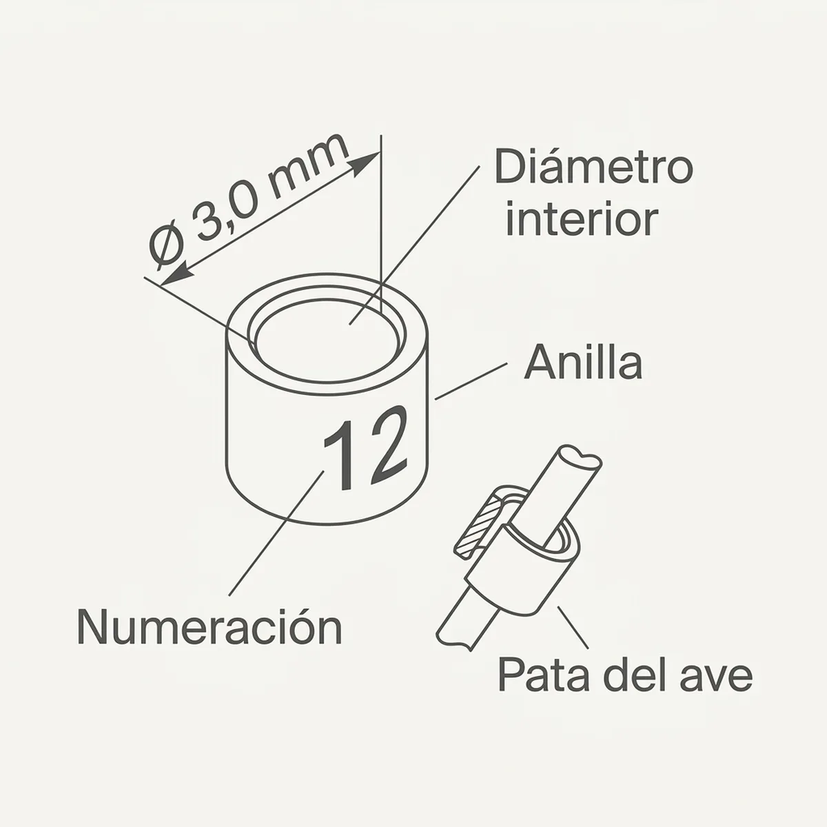 12 Anillas + calzado Ø3,0mm (Naranja) — piezas y montaje