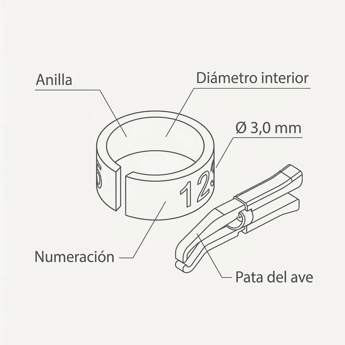 12 Anillas + calzado Ø3,0mm (Negro) — piezas y montaje