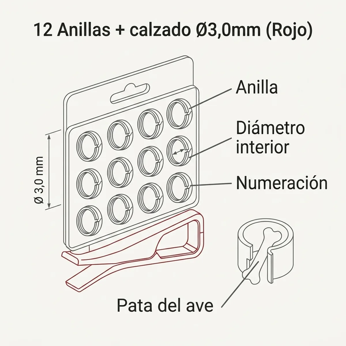 12 Anillas + calzado Ø3,0mm (Rojo) — piezas y montaje