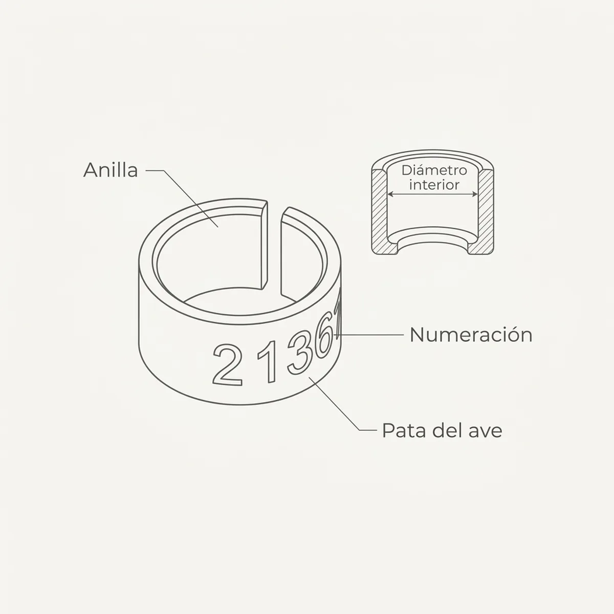 50 tiras Anillas Aluminio Abiertas 4mm — piezas y montaje