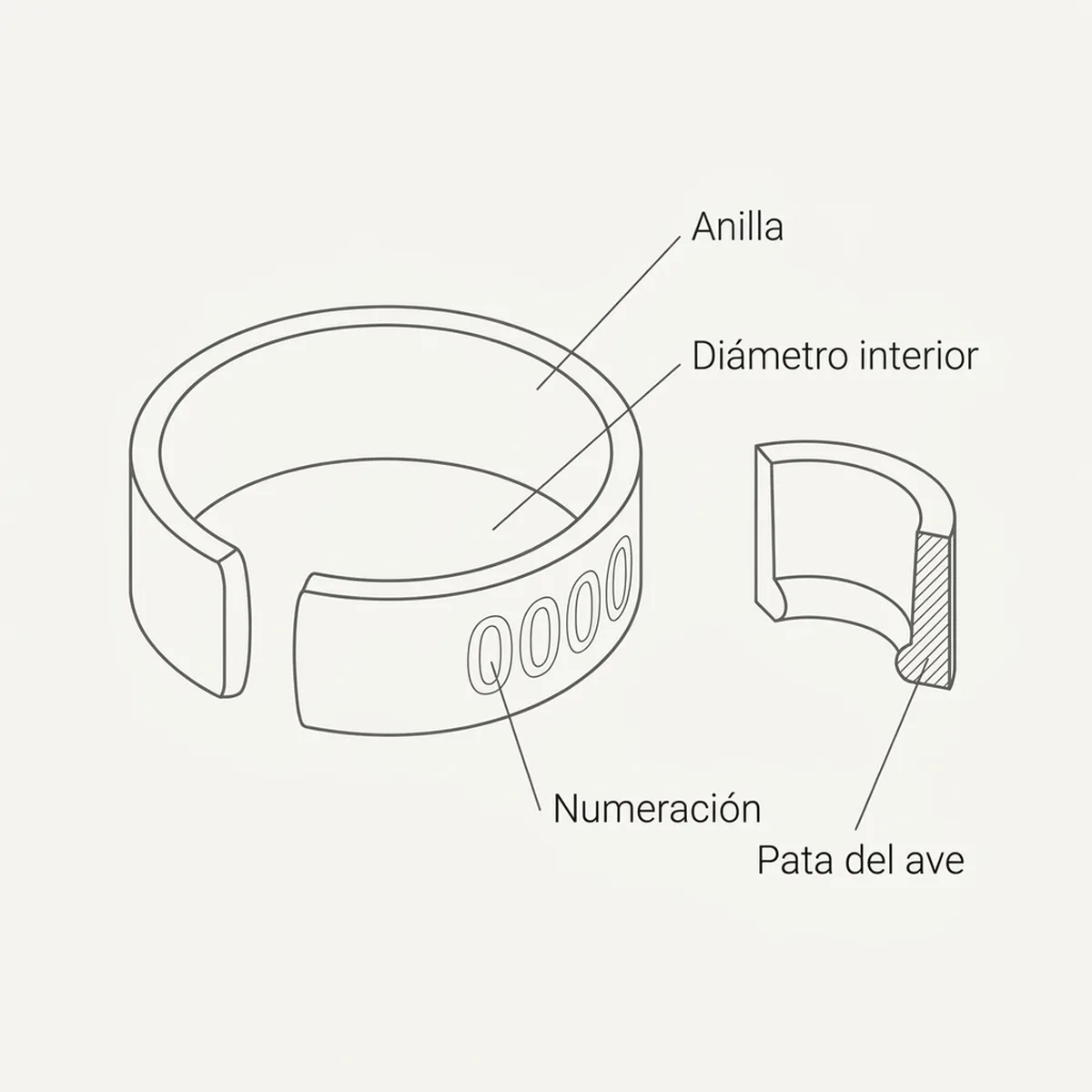 50 tiras de 20/u Anillas Aluminio Abiertas 3mm — piezas y montaje