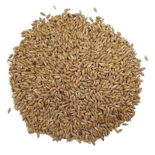 Alpiste Premium 1kg (Granel)
