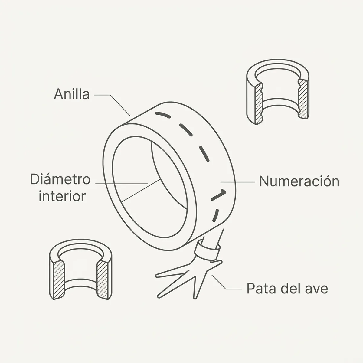 Anilla elástica 4.5 mm  50 unds – Amarillo Rings4Wings — piezas y montaje