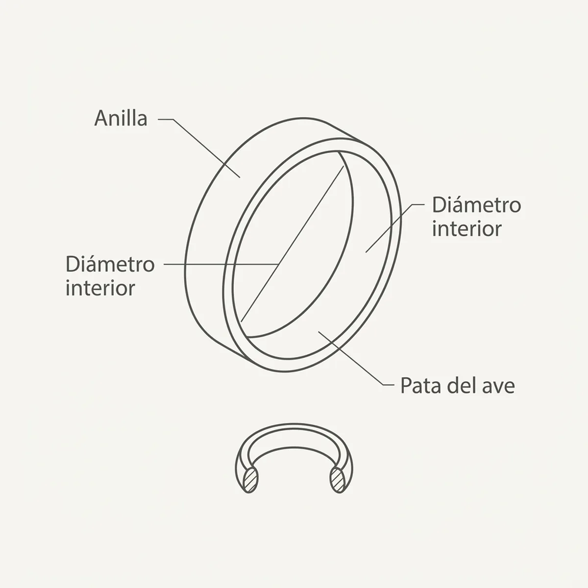 Anilla elástica 4.5 mm  50 unds – Rojo Rings4Wings — piezas y montaje