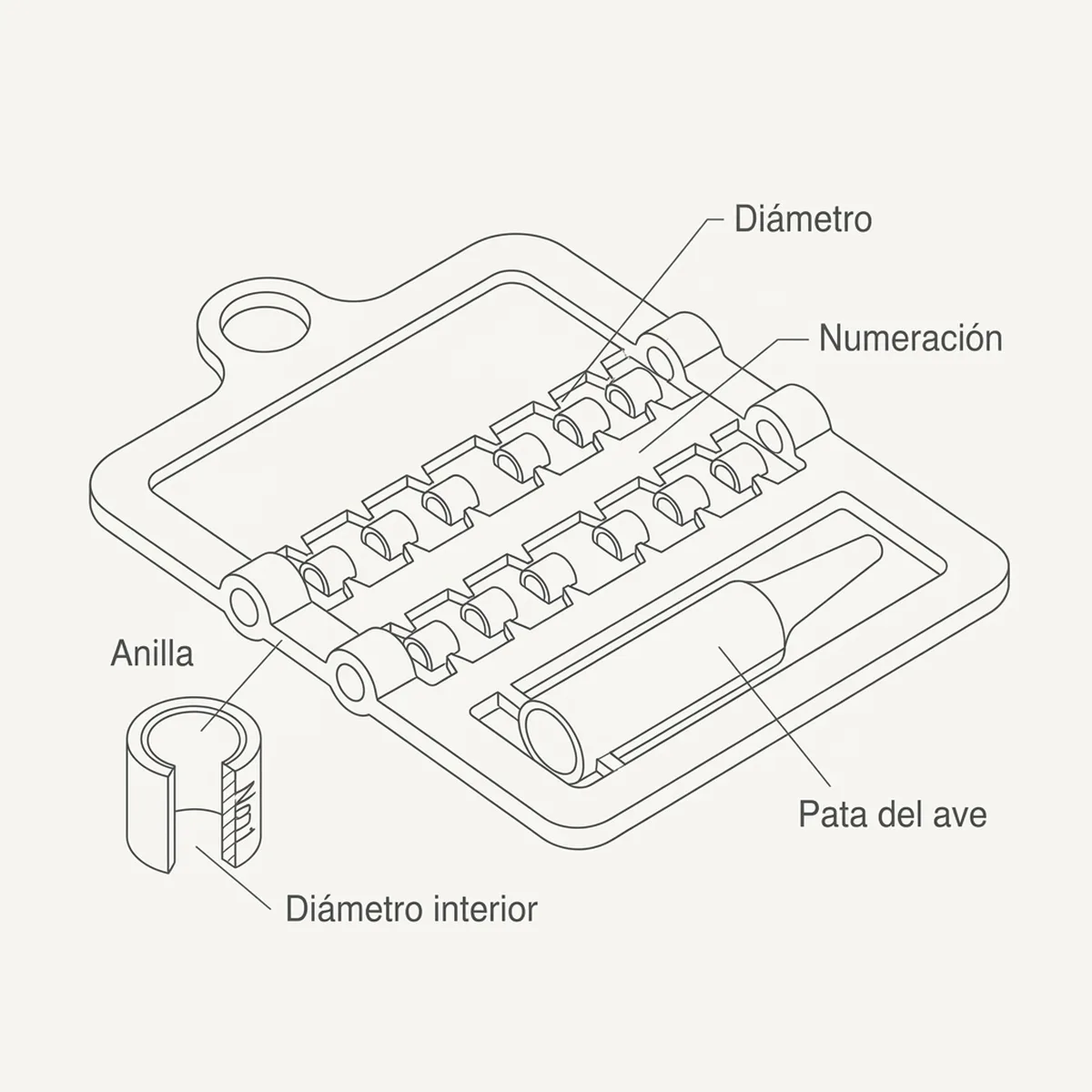 Anillas 3,00 mm Partidas con Calzador 12 unds Rosa — piezas y montaje