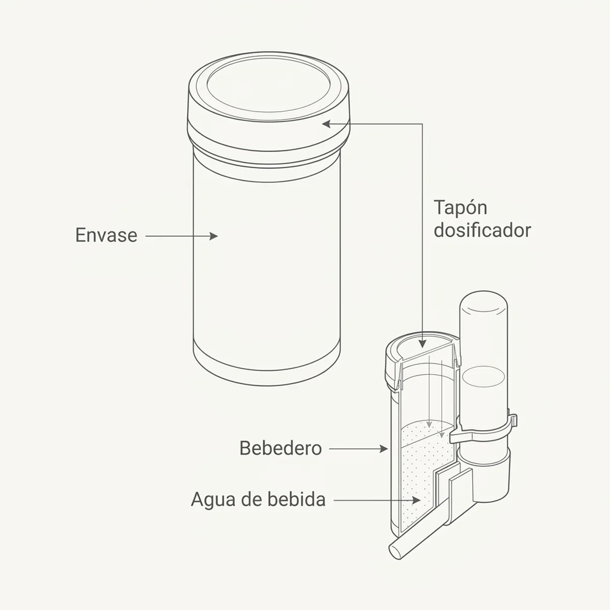 Dibujo del bote de complemento para picaje y muda junto al bebedero y el agua de bebida