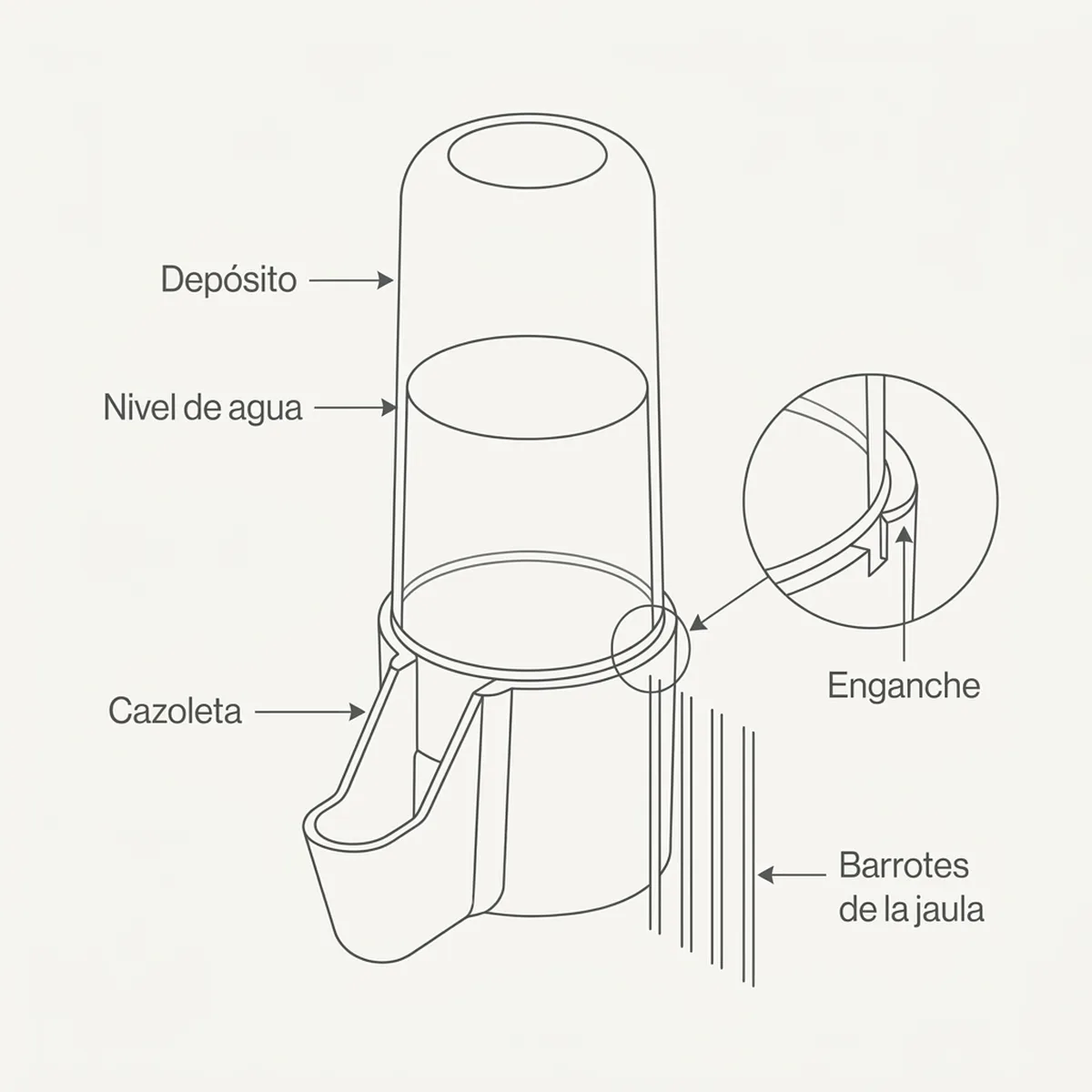 Bebedero Corto 75cc (Transparente) — piezas y montaje