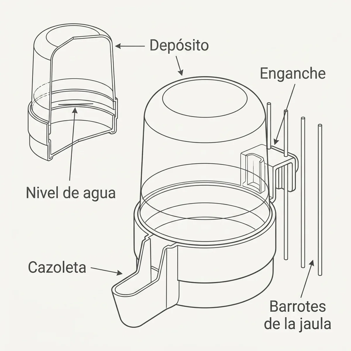 Bebedero Reggio 260cc (Transparente) — piezas y montaje