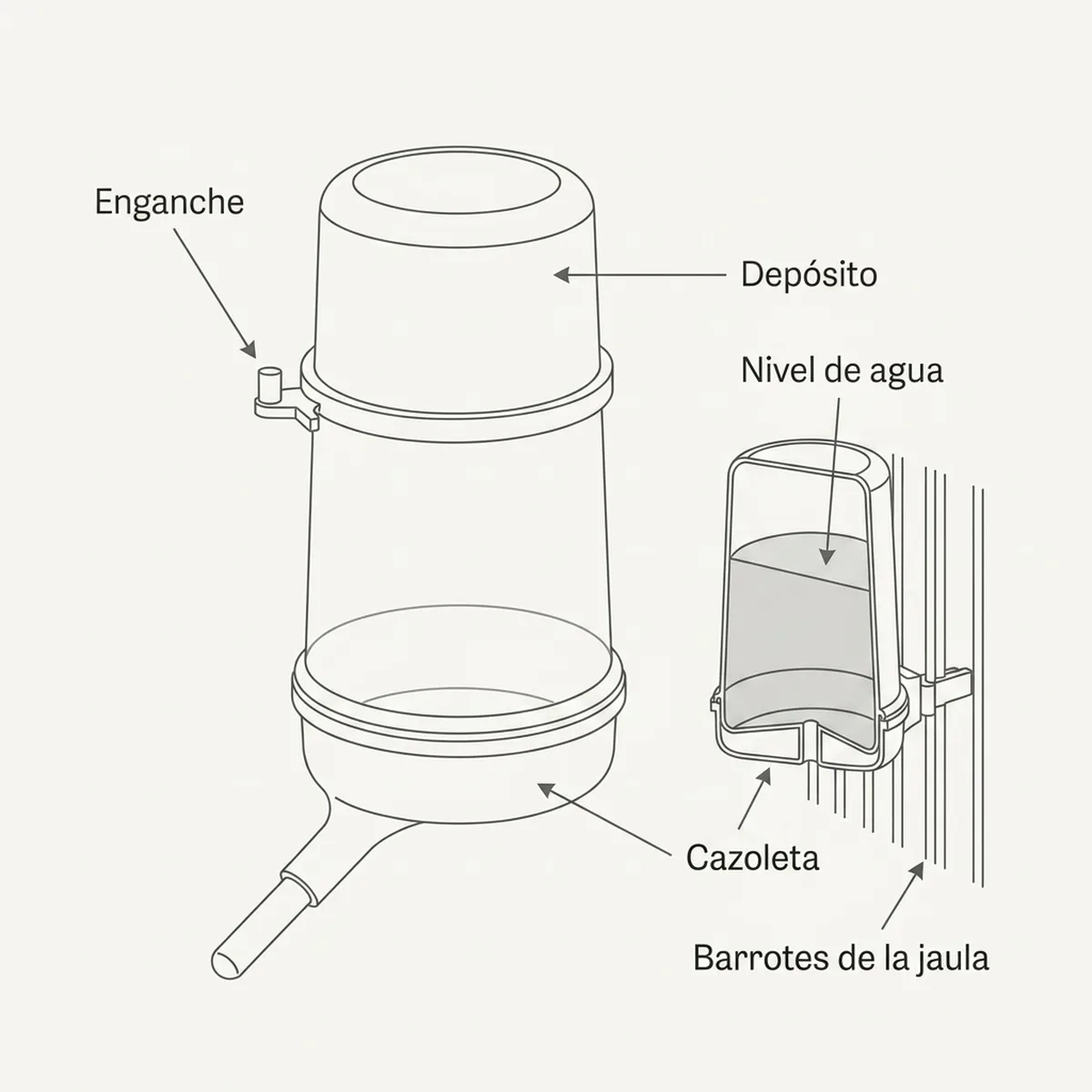 Bebedero Revolution 400cc — piezas y montaje