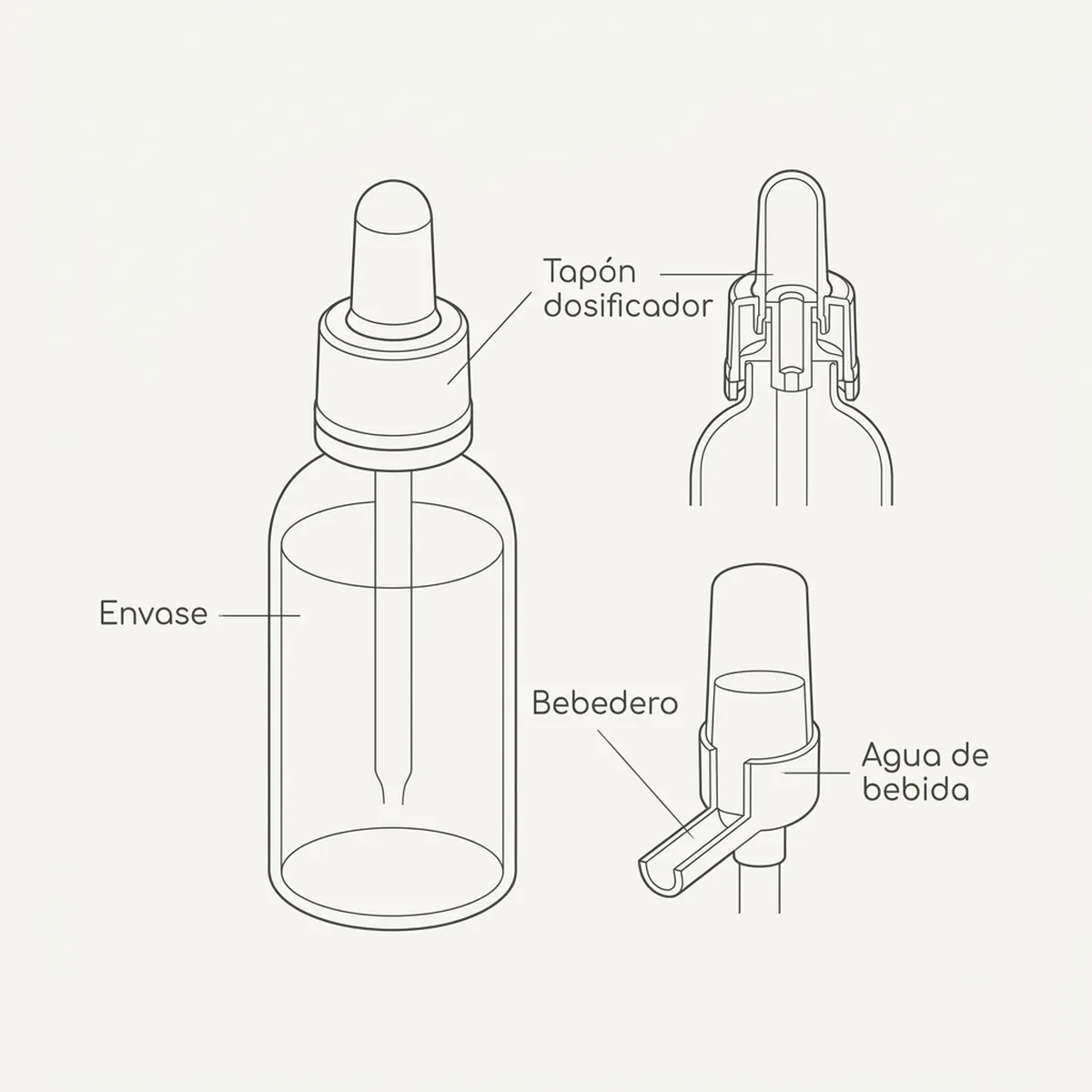 Betaminor + Betaina 24ml Pineta — piezas y montaje