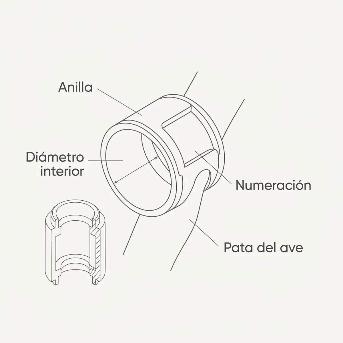 Brazalete Doble para Pierna Torcida 3mm Kanaryapo – 10 Unidad