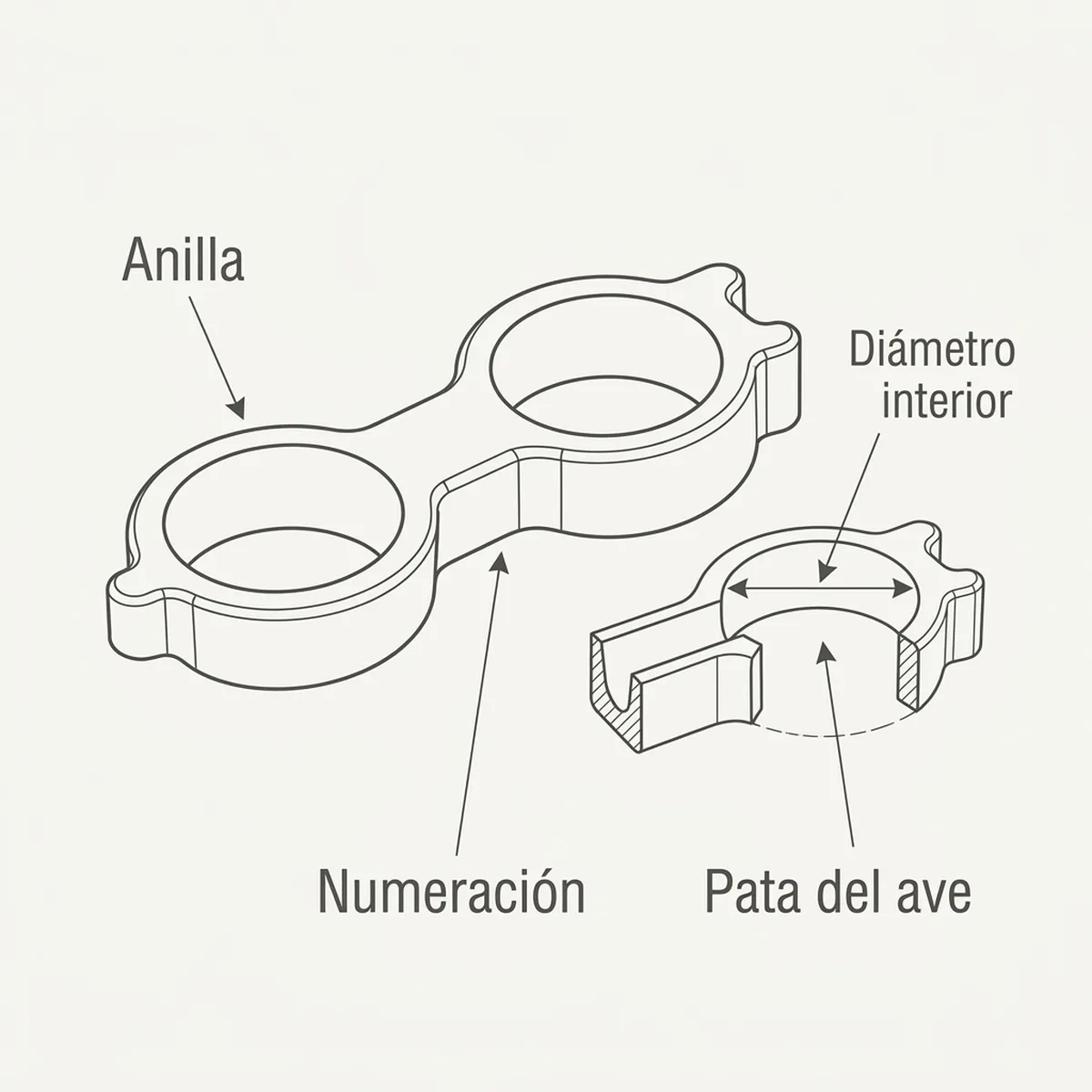 Brazalete Doble para Pierna Torcida 4mm — piezas y montaje