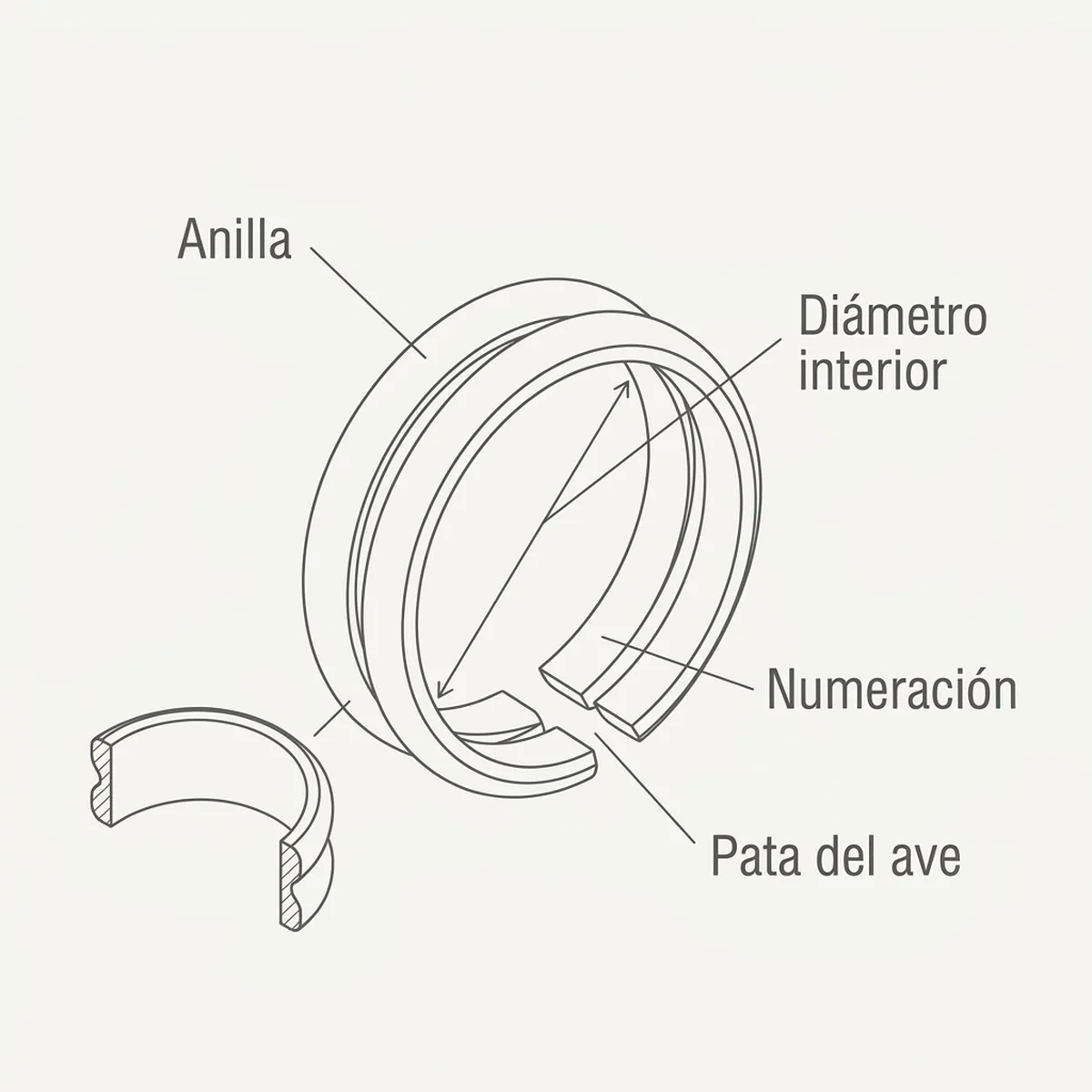 Brazalete Doble para Pierna Torcida 9mm
