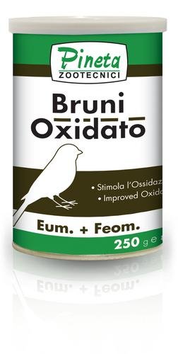 Bruni 1kg Oxidación Bruno Pastel Y Phaeo Pineta