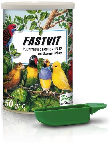 Fast Vit 250gr (El Multivitamínico de los Campeones)