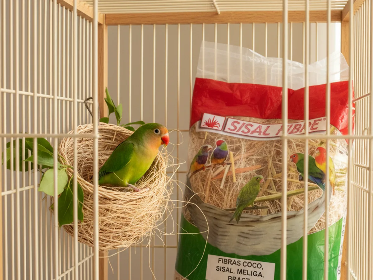 Fibras Coco, Sisal Meliga, Bract 500gr (Agapornis) Sisal Fibre