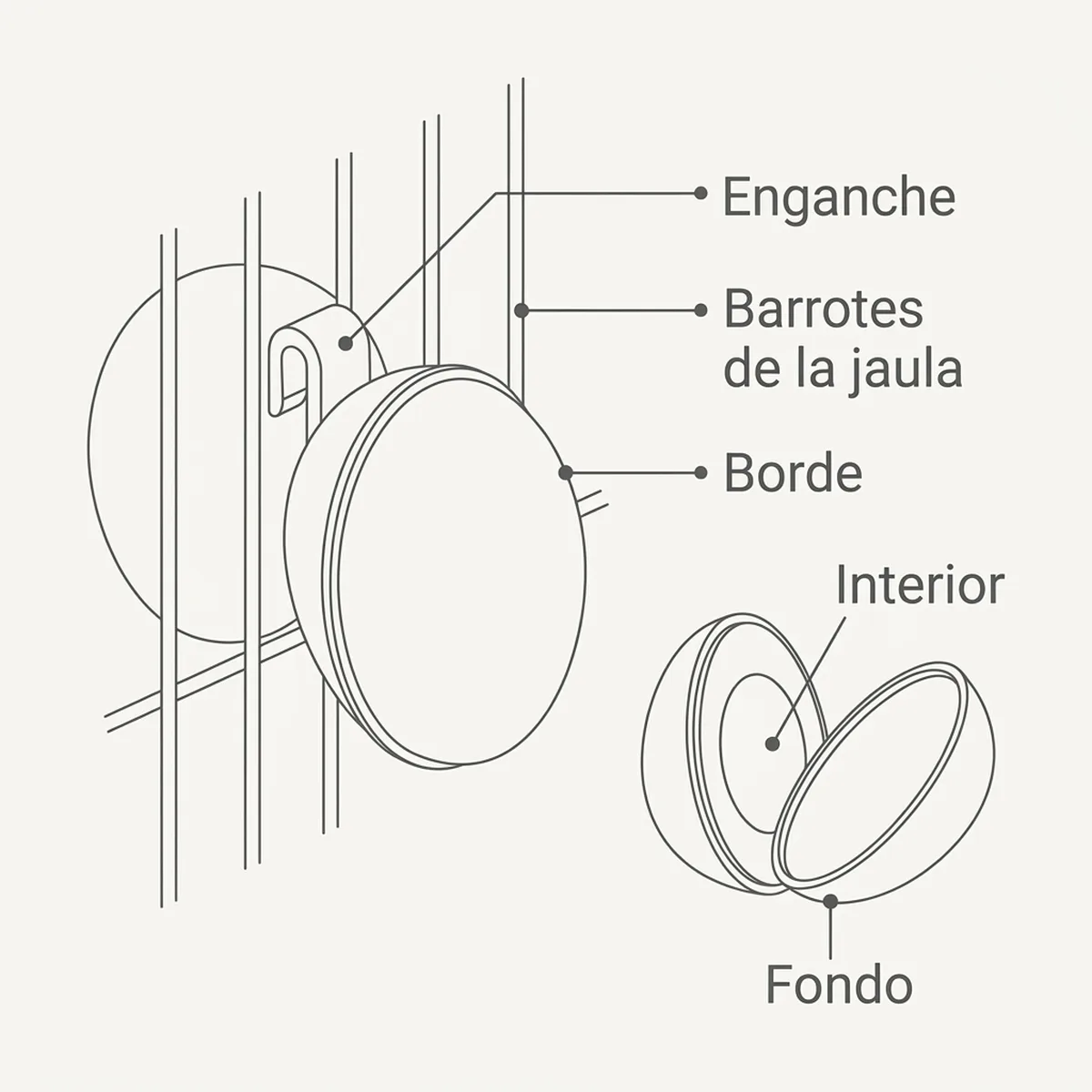 Huevo plástico agapornis — piezas y montaje