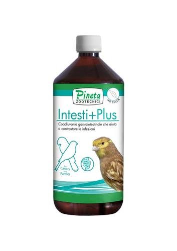 Intesti+Plus 1000ml Equilibrio intestinal Pineta
