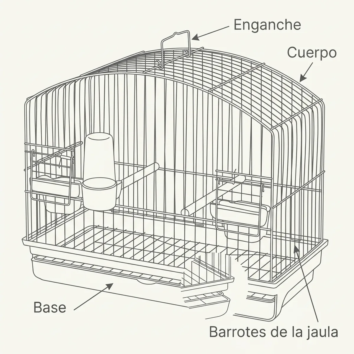 Jaula de exposición profesional Border negra STA