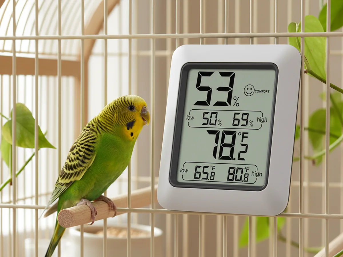 Medidor digital colgado en el aviario mostrando la temperatura y la humedad relativa del local