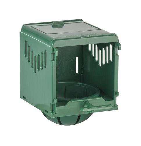 Nido Samsara  (Verde) Ø 10