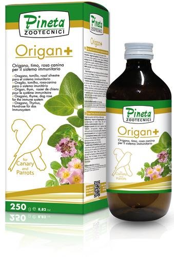 Orégano Liquido 24ml  (Origan+)