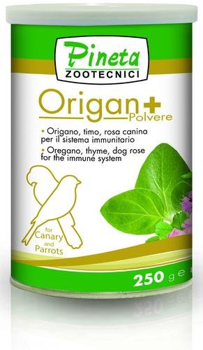 Orégano polvo 50gr (Origan+)