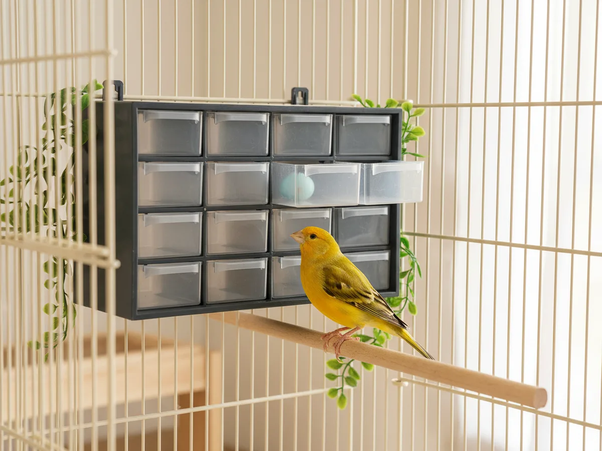 Organizador de puestas de huevos 16 cajones