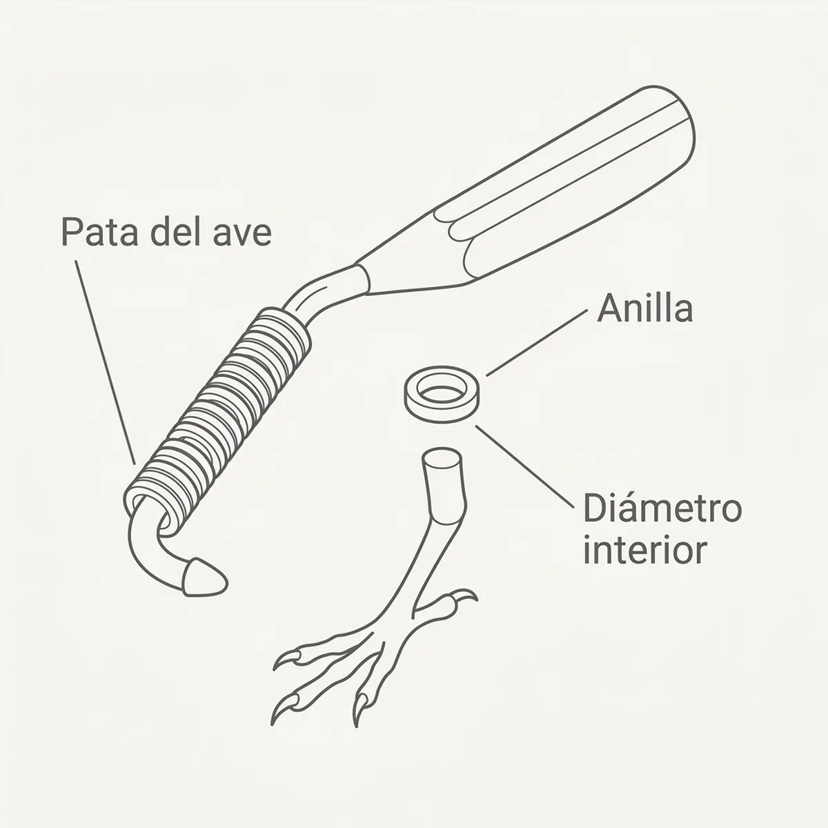 Pack Anillas Colores Elastic 2 mm con el calzador Rings4Wings — piezas y montaje