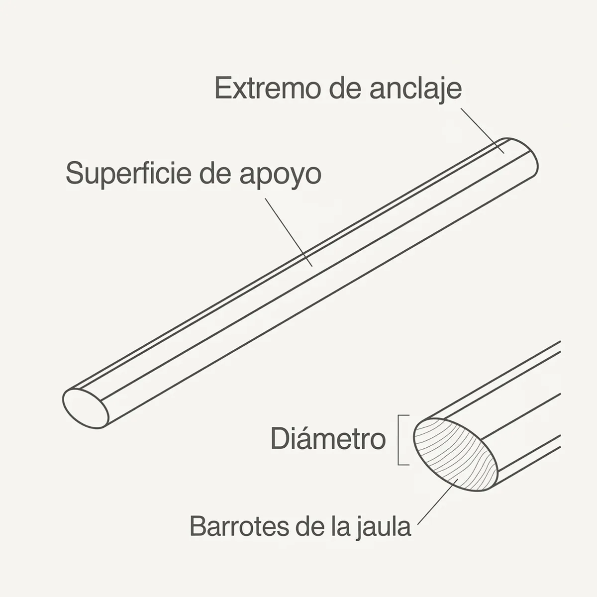Palo de pino de sección ovalada de 30 cm, con el contorno acotado