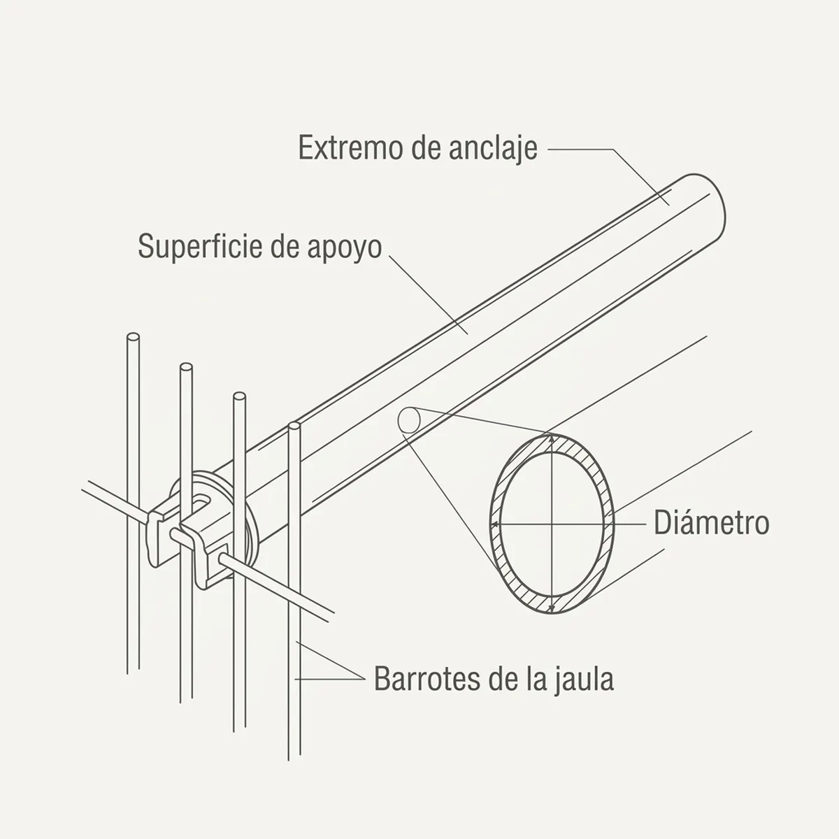 Percha ovalada de madera de pino de 35 cm con la sección que reparte el apoyo del pie