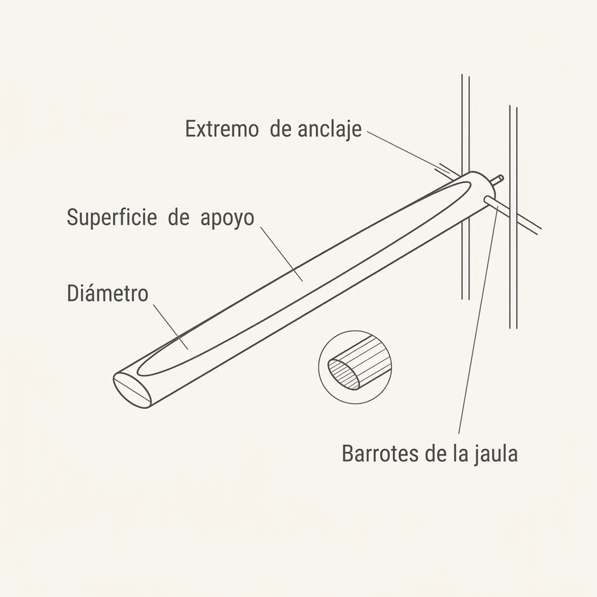 Palo Madera ovalado 32cm (especial heridas) — piezas y montaje
