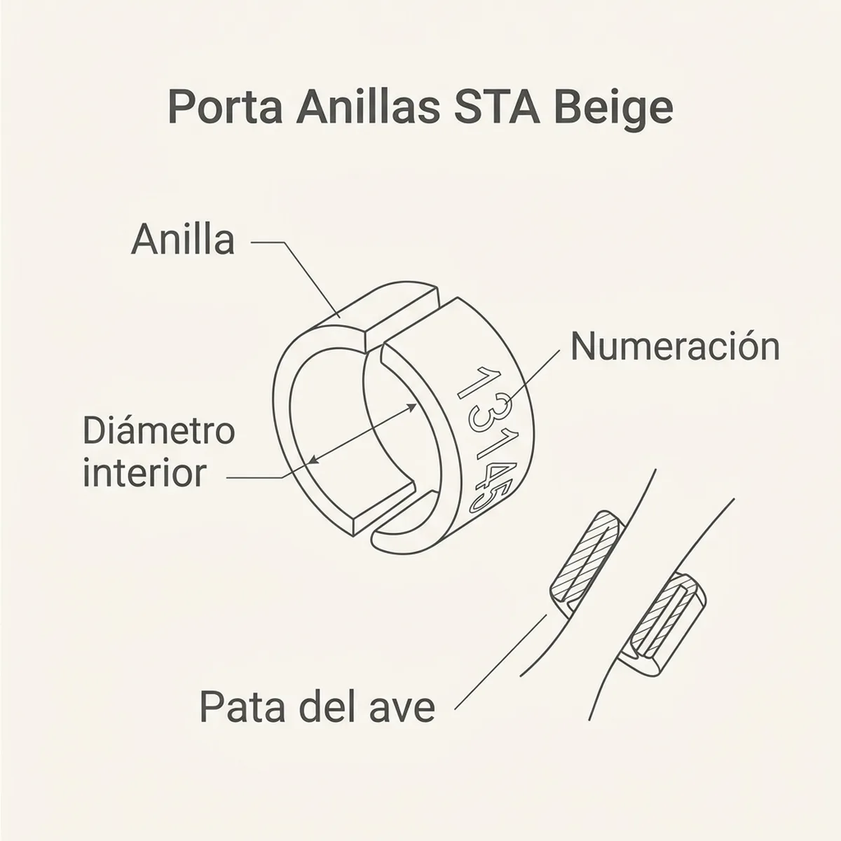 Porta Anillas STA Beige