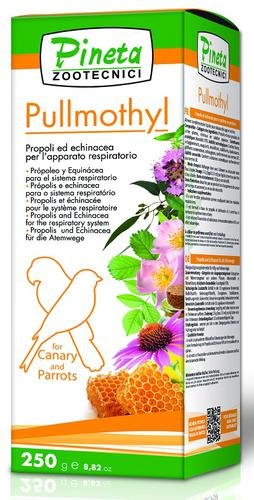 Pullmothil 125ml (Tratamiento para vía respiratoria)