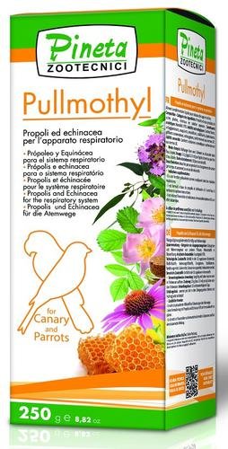 Pullmothil 24ml (Tratamiento para vía respiratoria)