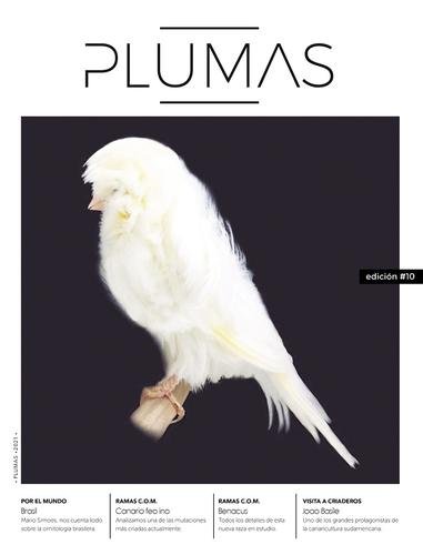 Revista Plumas Nº10