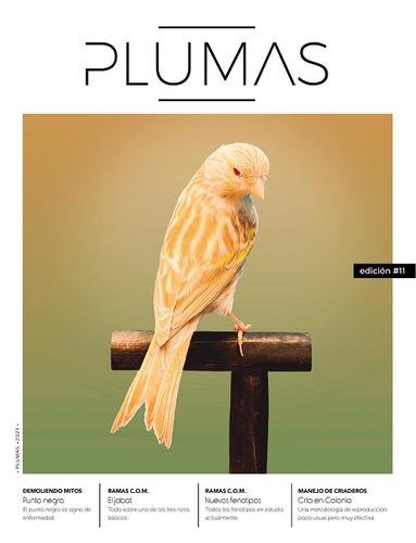 Revista Plumas Nº11