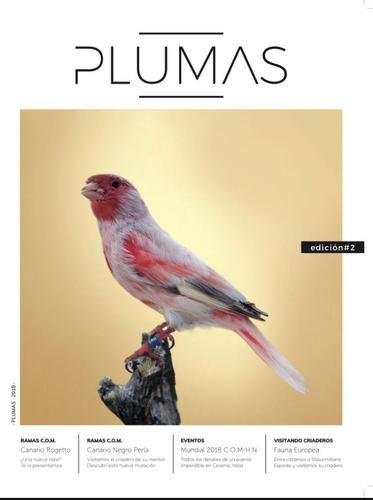 Revista Plumas Nº2