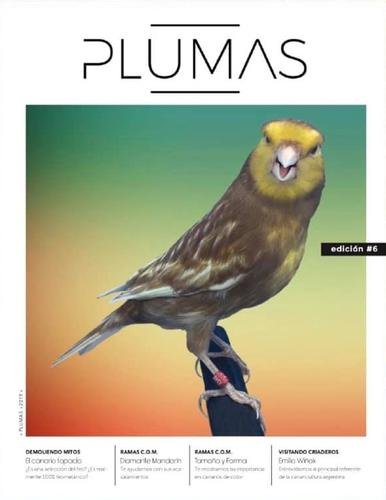 Revista Plumas Nº6