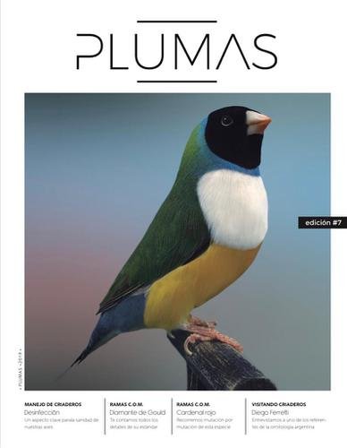 Revista Plumas Nº7