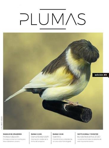 Revista Plumas Nº8